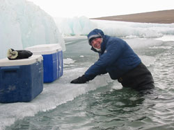 Recherche dans les milieux polaires