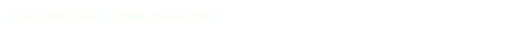 Élyse MICHON, Objet de malheur